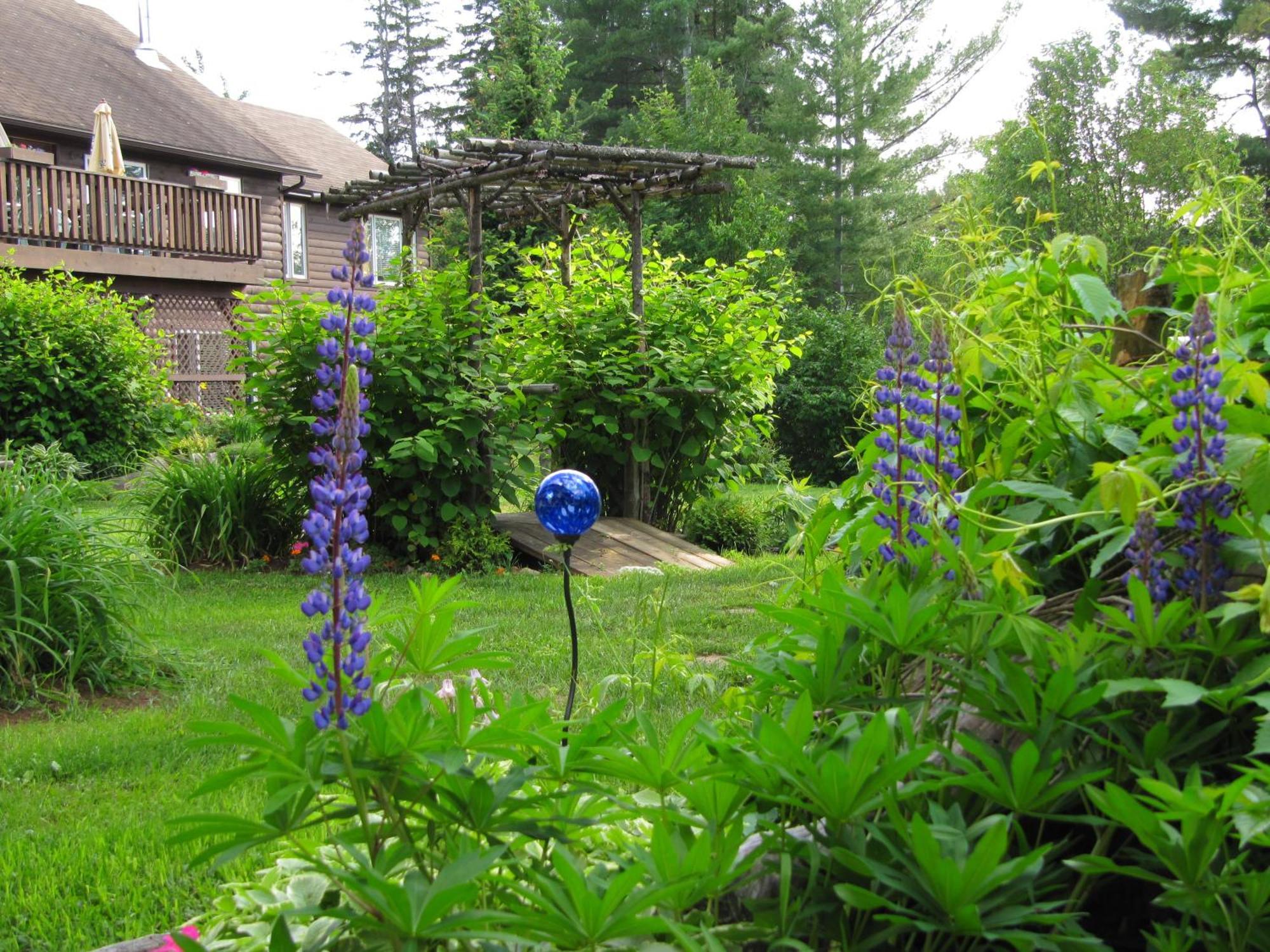 Spring Lake Resort Dwight Eksteriør bilde